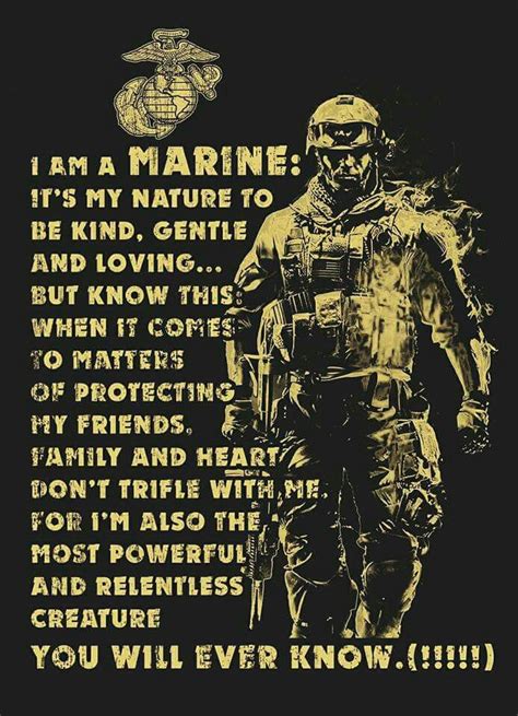 24 Inspirational Quotes For Usmc Swan Quote