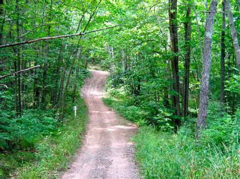 Chippewa County Orv Trail Information