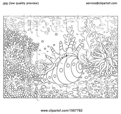 Discover the magic of the internet at imgur, a community powered entertainment destination. Clipart of a Lineart Crab in a Conch Shell - Royalty Free Vector Illustration by Alex Bannykh ...