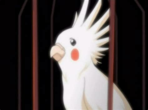 Bleach Episode 004 And Your Bird Can Speak Bleach Anime