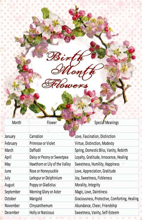 Birth Flowers And Meanings
