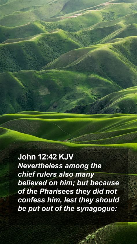 John 1242 Kjv Mobile Phone Wallpaper Nevertheless Among The Chief