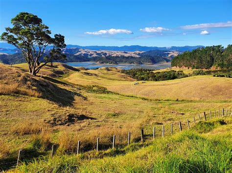 Beautiful Hilly Landscape In Coromandel Peninsula New Zealand Stock