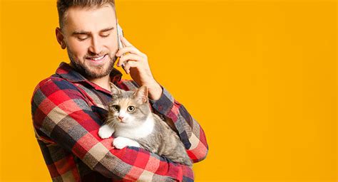 What To To With A Needy Cat How To Teach Independence