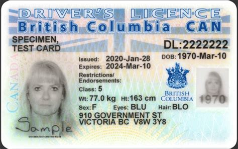 Changes To Bcs Drivers License Id And Service Cards Keesing