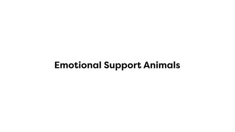Emotional Support Animals Youtube