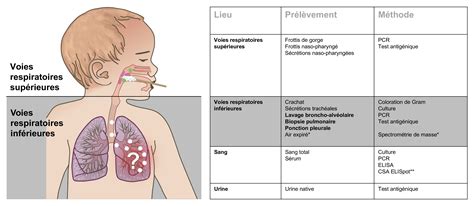 Diagnostic Et Traitement De La Pneumonie Pendant Lenfance Et L