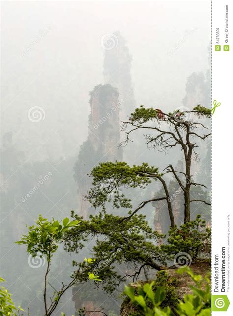 China Mountain At Zhang Jie Jia Stock Image Image Of Cliff Geology