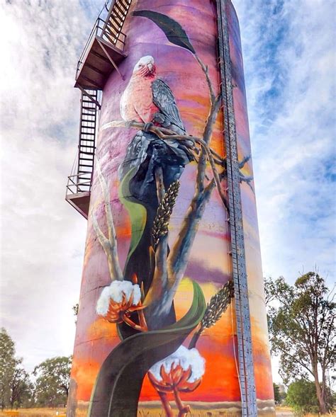 Moura Silo Art Moura Queensland The Banana Shire Murals Street Art Street Art Street