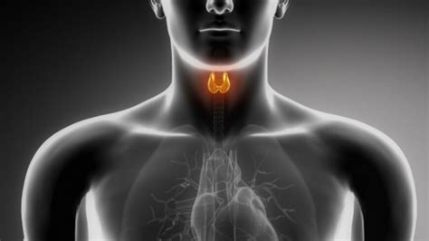 Thyroid Blog Page 4 Live Better With Thyroid Nodules And Cancer