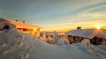 Laponia 2021: los 10 mejores tours y actividades (con fotos) - Cosas ...