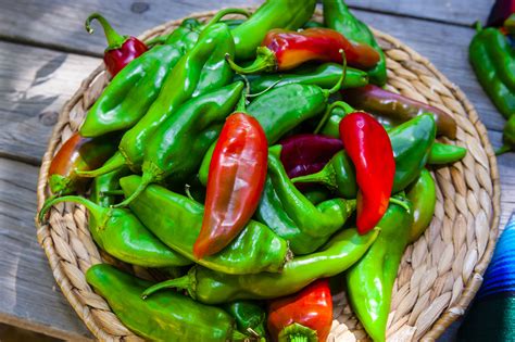 New Mexico Green Chiles And Red Chiles