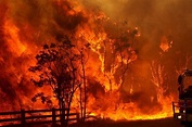 驻悉尼总领馆提醒留意山林火灾