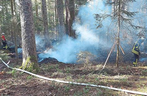Feuer Im Wald Bei Aichhalden Starker Wind Facht Schwelbrand An