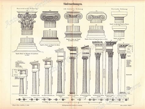 1895 Classical Greek Orders Of Columns Architectural Order Etsy