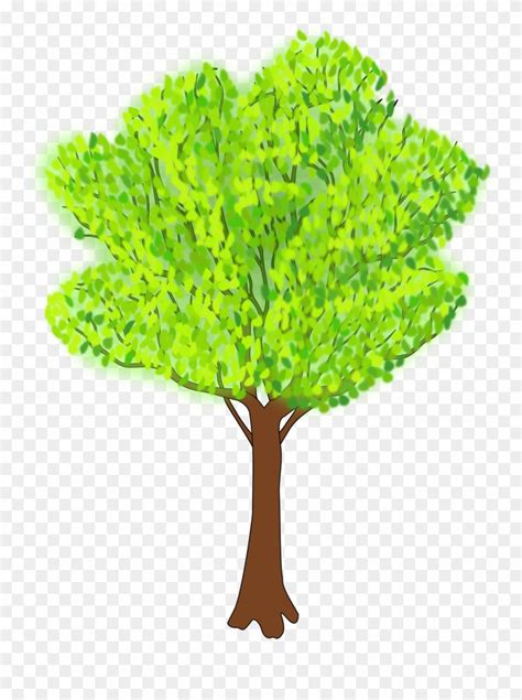 Free Summer Tree Cliparts Download Free Summer Tree Cliparts Png