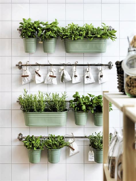 The Ultimate Guide On Indoor Herb Garden For Small Kitchens