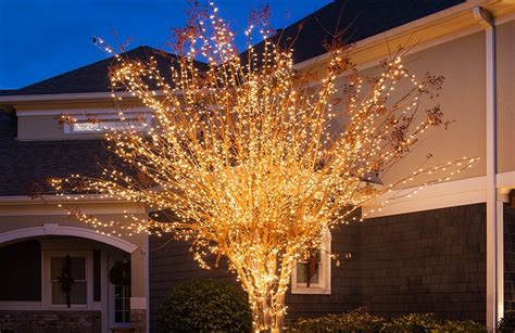 How To Put Christmas Lights On Bushes