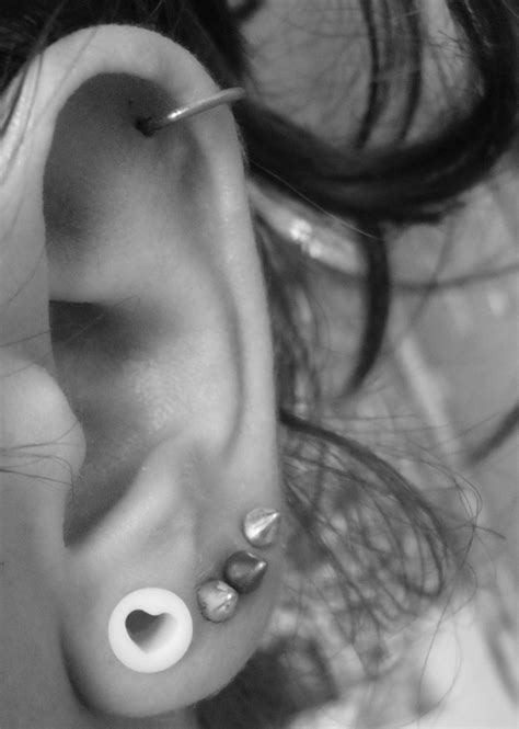 cute ear tunnel piercings ear tunnels piercing jewelry