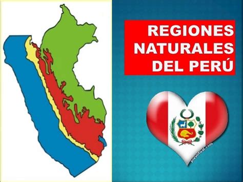 Las Regiones Naturales Del Peru Para Niños De Primaria Hay Niños