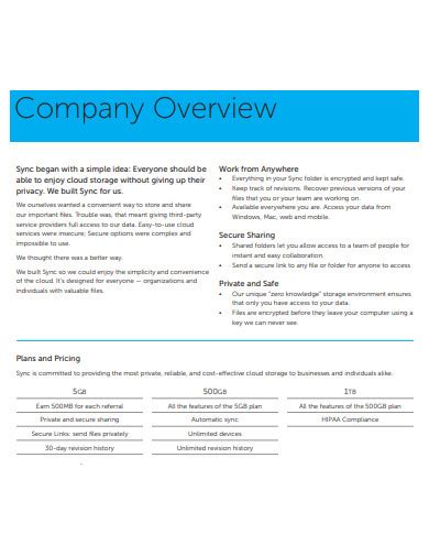 Free 11 Company Overview Templates In Pdf Ms Word