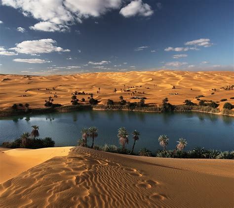 1920x1080px 1080p Free Download Oasis Desert Lake Palm Sand