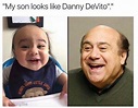 30 Hilarious Danny DeVito Memes - Barnorama