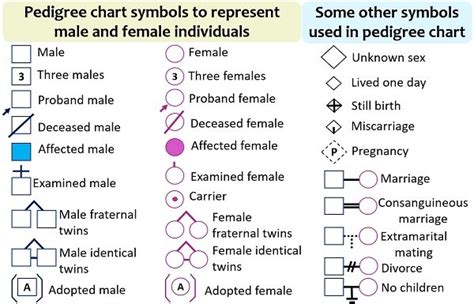 Pedigree Analysis Chart Definition Symbols Types And Examples