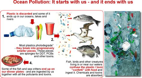 Plastics In The Environment Science Domain