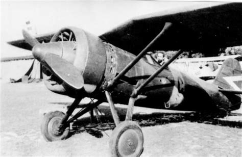 The Solitary Pzl P11 Fighter In Hungarian Service Was Acquired When