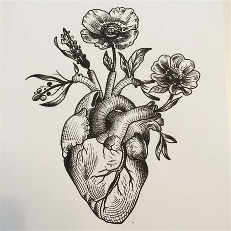 Realistic Heart Drawing At Getdrawings Free Download