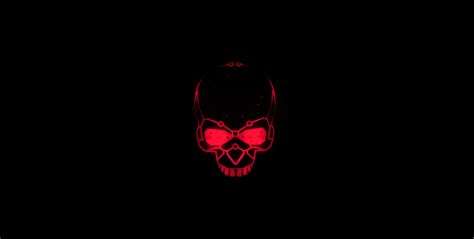 Free Download Cool Skull Backgrounds 1024768 High Definition Wallpaper