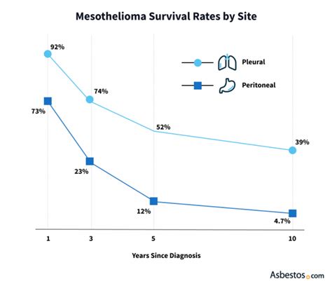 Mesothelioma Facts And Statistics For 2022
