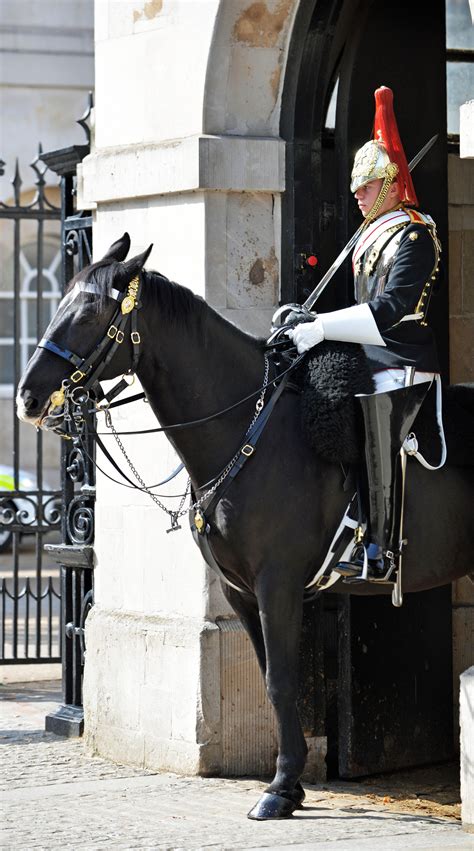 Household Division Cavalry Photo By Tyler Kohn Horse Guards Royal