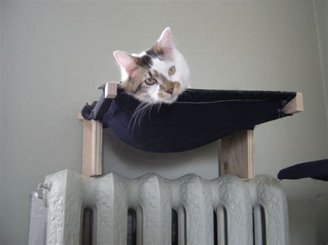 I am so glad we tackled this easy project. Cat Hammock | Cat hammock, Diy cat hammock, Pets