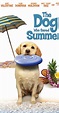 The Dog Who Saved Summer (2015) - IMDb