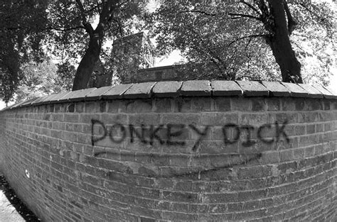 Donkey Dick By Pantsy On Deviantart