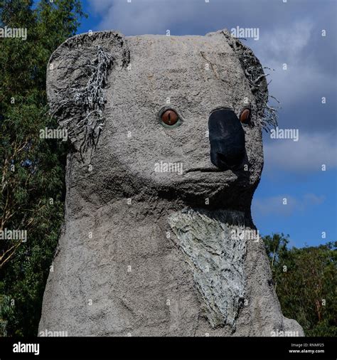 Giant Koala Australia Hi Res Stock Photography And Images Alamy