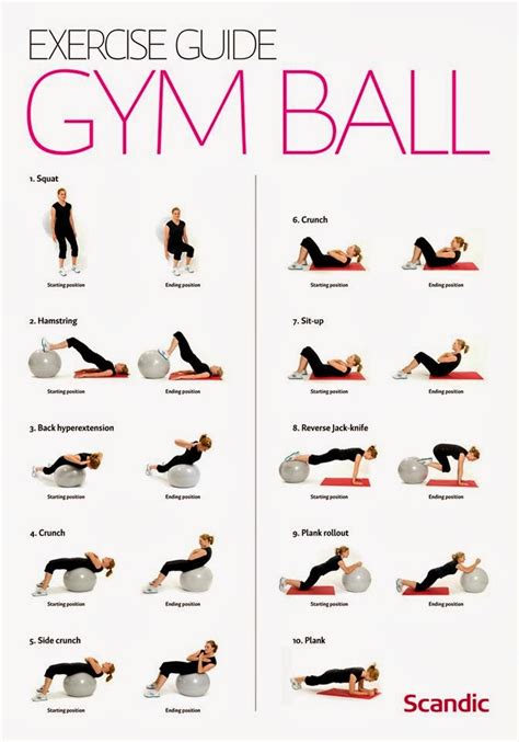 Printable Exercise Ball Exercises For Beginners Printable Word Searches