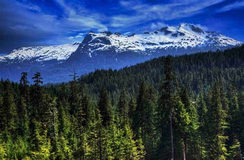 Interesting Facts About The Alaskan Rainforest Fun Facts About The