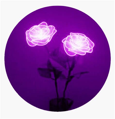 The Best 27 Purple Aesthetic Profile Picture Janainataba