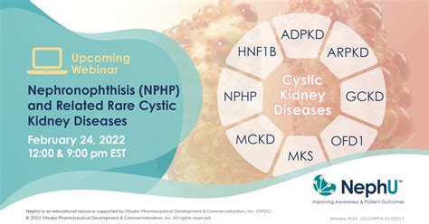 Nephronophthisis Nphp And Related Rare Cystic Kidney Diseases Nephu