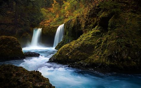 Waterfall Tree Nature Water Coolwallpapersme