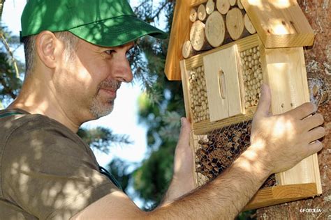 Weitere ideen zu insektenhotel, insektenhaus, insektenhotel bauanleitung. Der ideale Standort fürs Insektenhotel - Garten & Freizeit