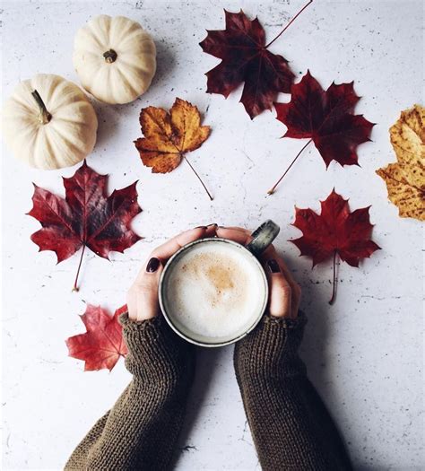 Instagram Autumn Flatlay Autumn Aesthetic Autumn Inspiration
