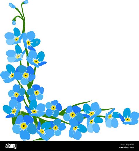 Vector Illustration Of A Forget Me Not Flower Stock Vector Image And Art