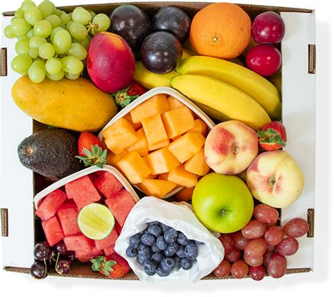 Discovery Fruit Box