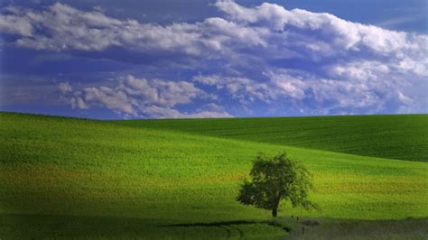 Clouds Landscapes Trees Grass Fields Wallpapers Hd Desktop And