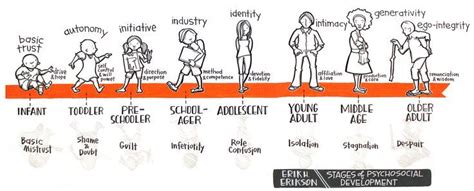 Psychosocial development as articulated by erik erikson describes eight developmental stages through which a healthily developing human should pass from infancy to late adulthood. 42 best stages of psychosocial dev images on Pinterest