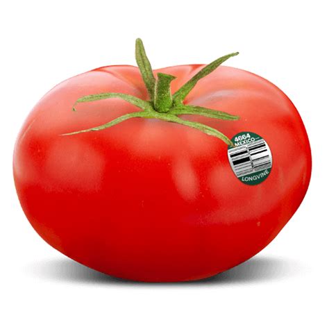Beefsteak Tomatoes Longvine